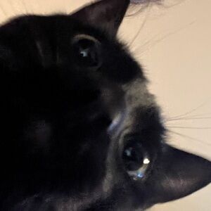 Meet your Posher, Alix